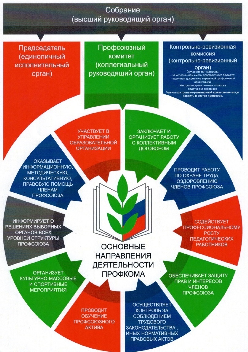 Профсоюз | Официальный сайт Муниципального бюджетного дошкольного  образовательного учреждения 