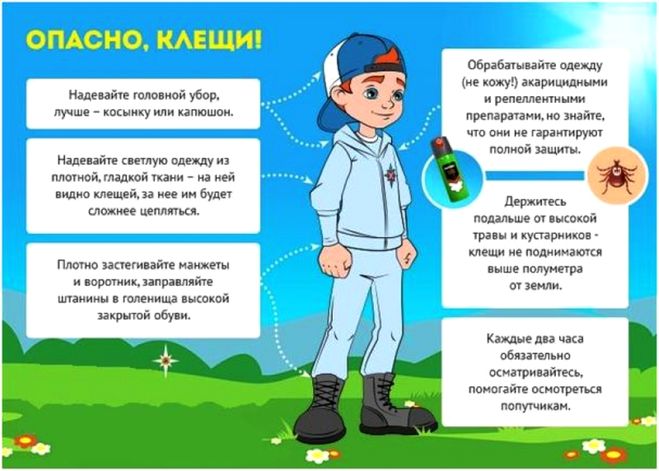 Опасно, клещи